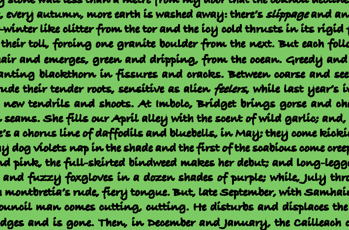 ON NOT MENDING WALL by Abigail Ottley