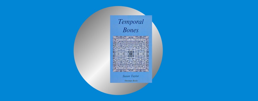 ‘A wren’s wishbone’: Susan Taylor&nbsp;reviewed